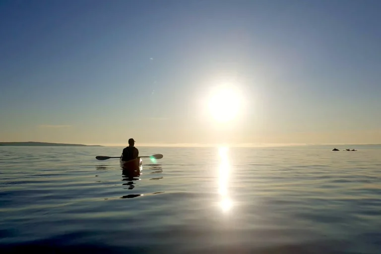 man-with-dolphins-in-kayak-on-adriapass-guided-kayak-tour-from-glavotok-on-krk-island